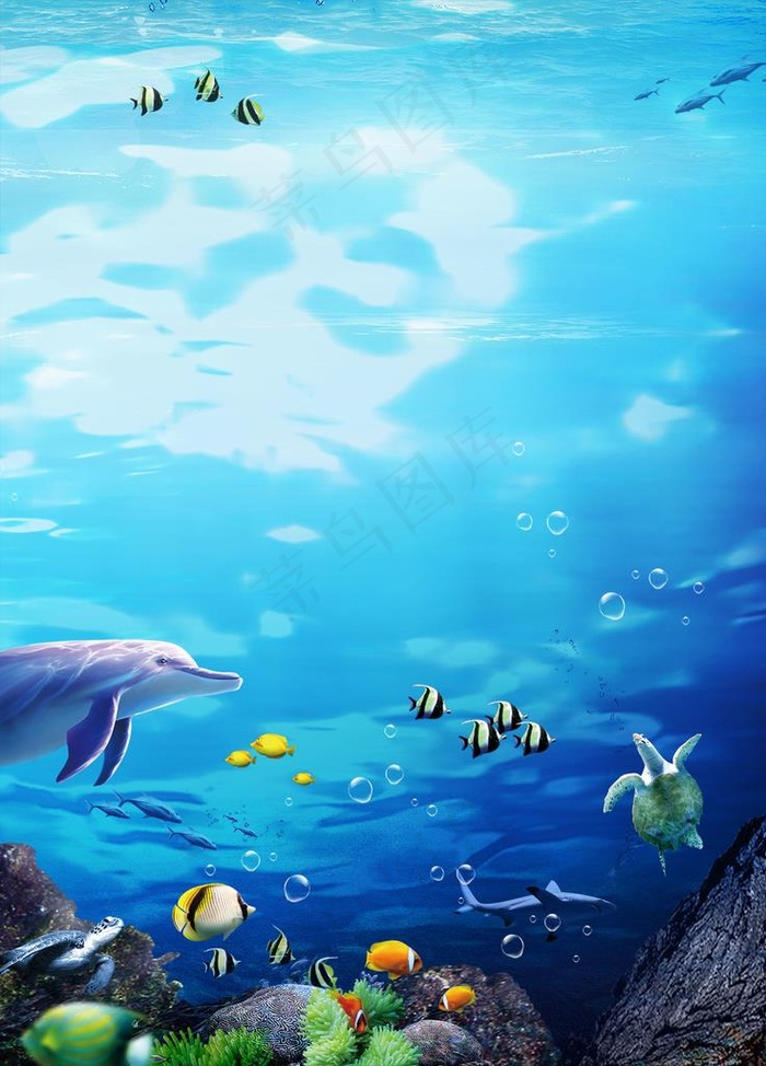 海底世界图片