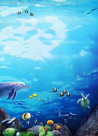 海底世界图片