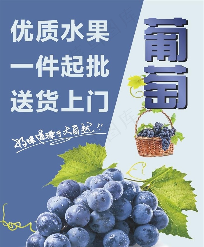 葡萄图片cdr矢量模版下载