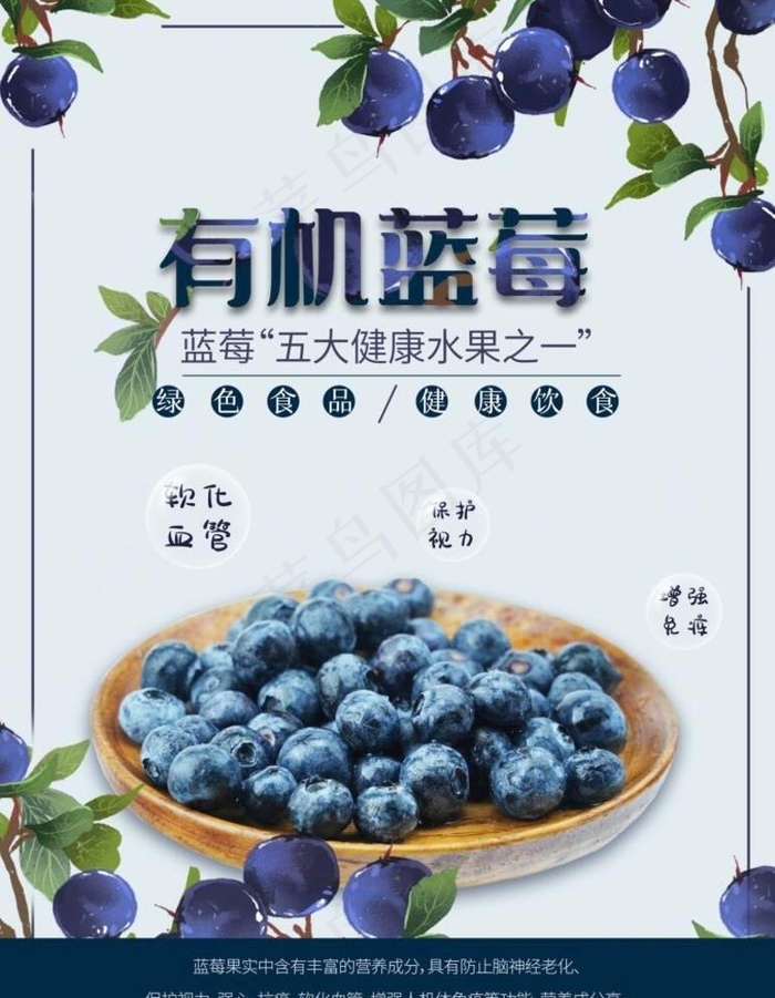 蓝莓图片psd模版下载