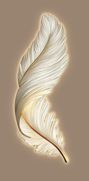 羽毛装饰画图片