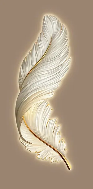 羽毛装饰画图片