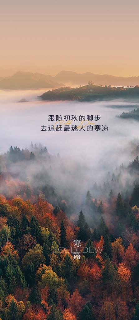 寒露 二十四节气 地产图片