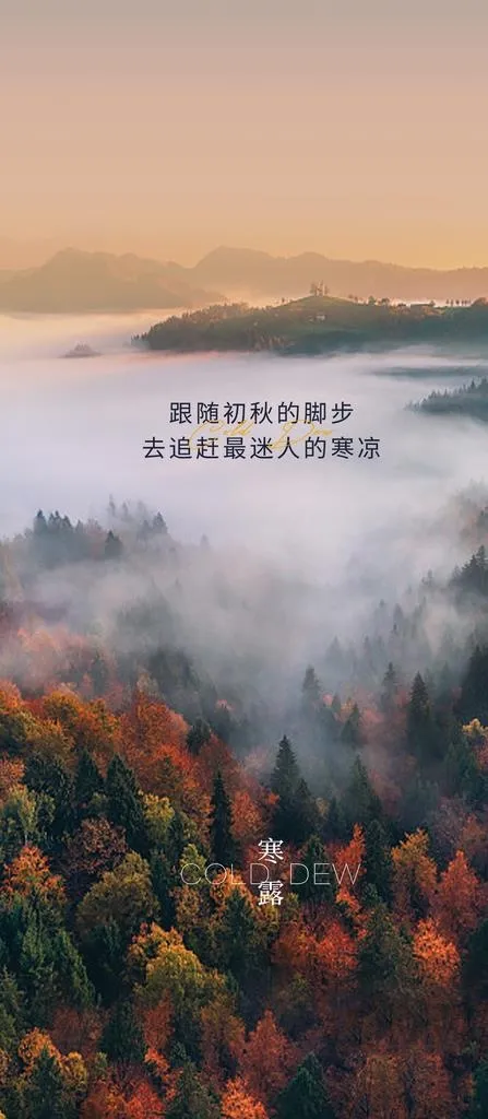 寒露 二十四节气 地产图片