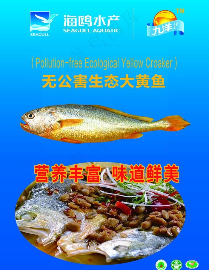 无公害生态大黄鱼图片psd模版下载