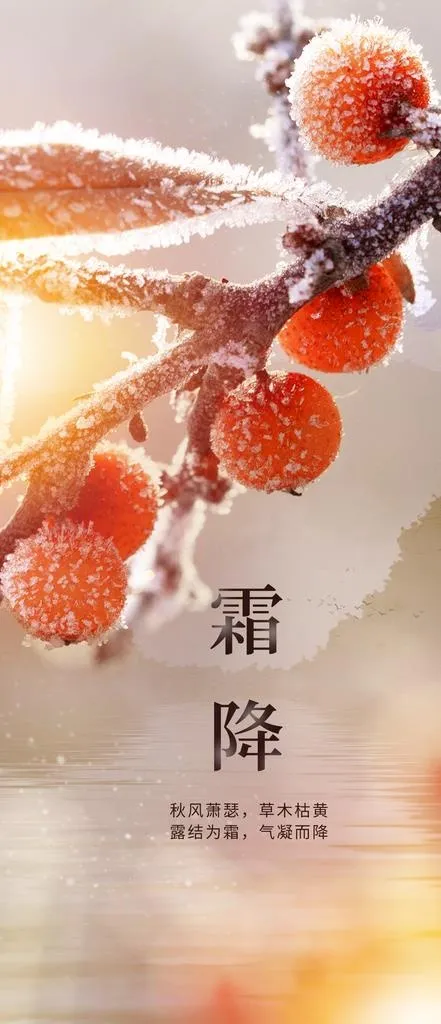 霜降图片(1242x2688)psd模版下载