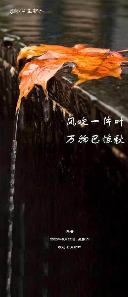 节气稿 处暑 地产 美图 简约图片psd模版下载