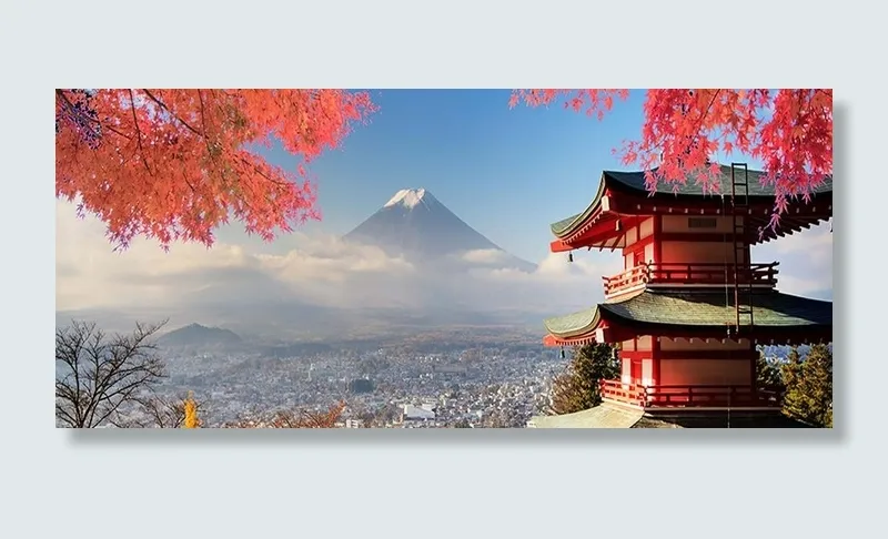 日本樱花图片
