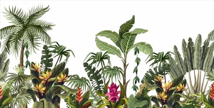 热带植物图片cdr矢量模版下载