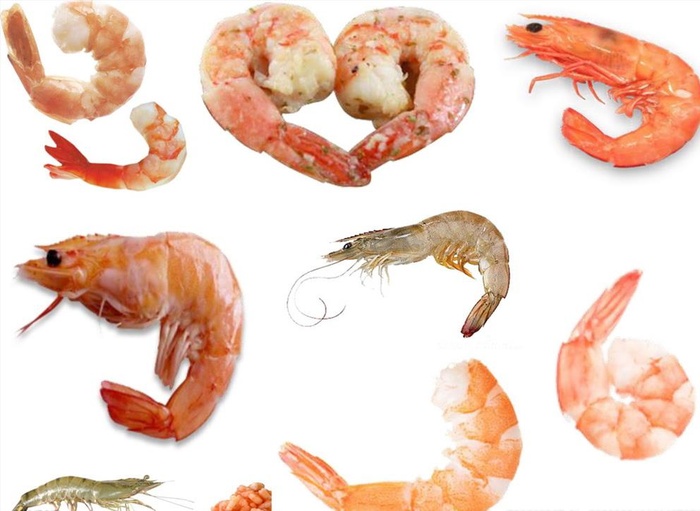 虾png免扣高清素材图片