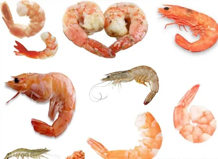 虾png免扣高清素材图片