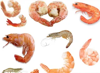 虾png免扣高清素材图片