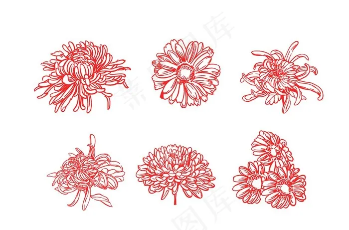 矢量菊花素材图片