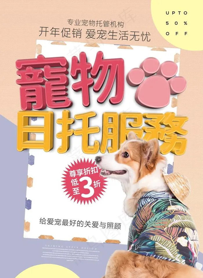 个性色彩宠物日托服务图片psd模版下载