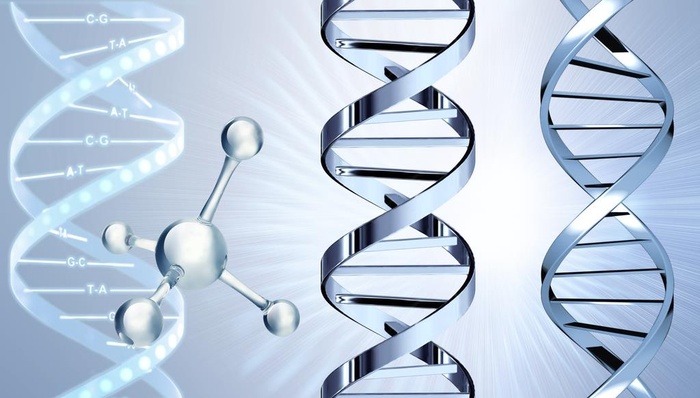 DNA基因链分子图片