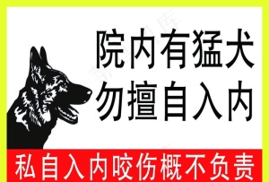 院有猛犬图片