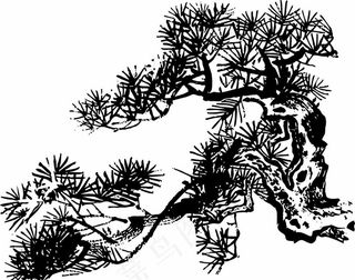 松树矢量图图片