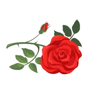 创意红色浪漫玫瑰花素材图片