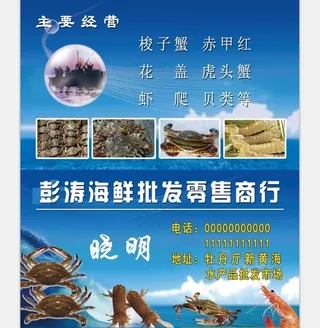 海鲜名片图片