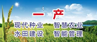 现代农业稻田图片