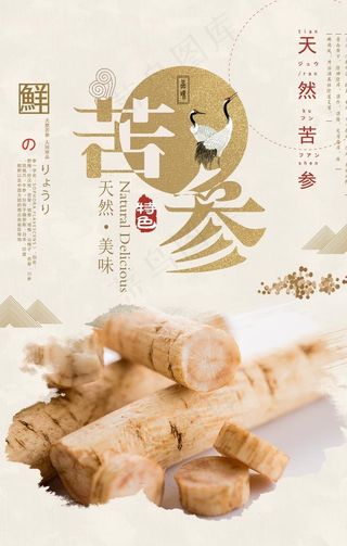 简洁中国风中药苦参海报图片