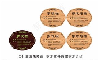 树木责任牌 树木介绍图片