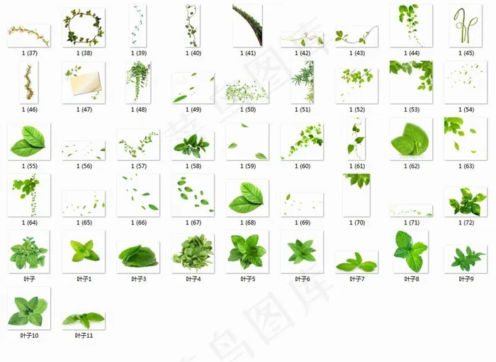 绿叶免抠素材图片