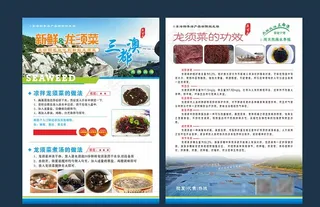 龙须菜单页图片