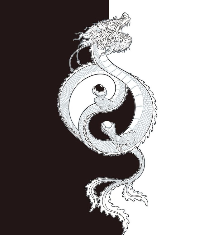 中国龙 八卦图图片