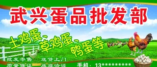 武兴土鸡蛋批发门头图片