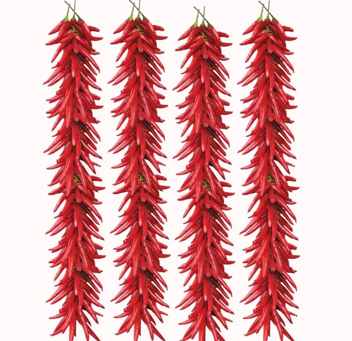 辣椒图片(800x800)psd模版下载