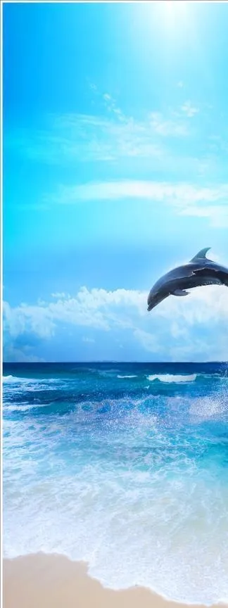 海豚图片