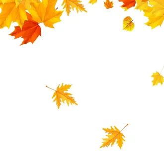 重阳节黄色树叶装饰元素图片
