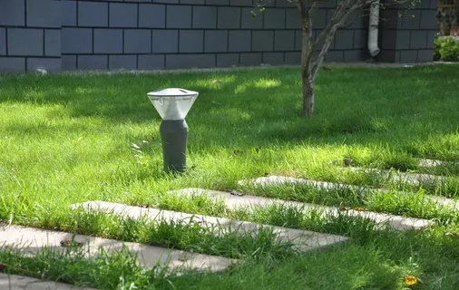 园林中的草坪和汀步和草坪灯图片