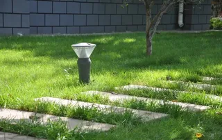 园林中的草坪和汀步和草坪灯图片