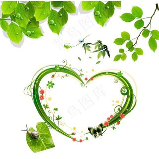 树叶 心形花藤图片