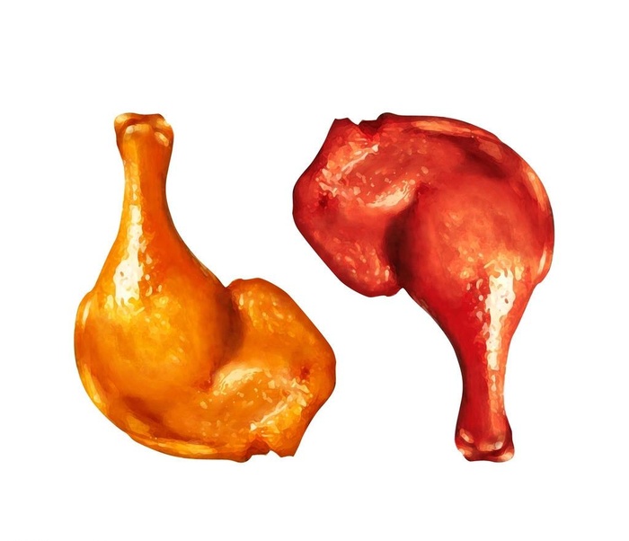 手绘烤鸭腿图片