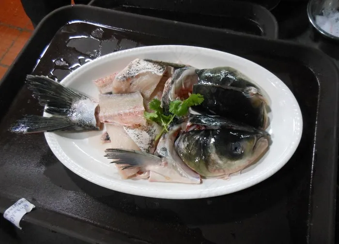 瘦身鱼图片