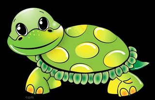 乌龟图片