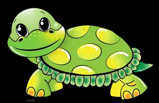 乌龟图片