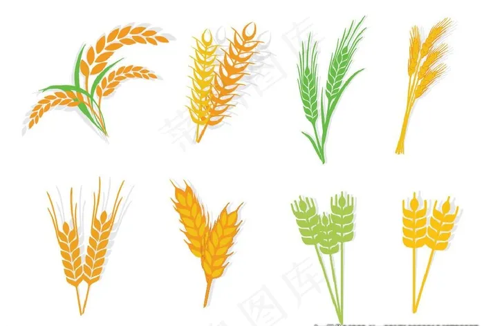 麦穗图片eps,ai矢量模版下载