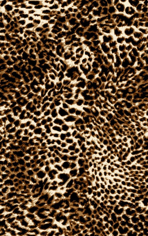 豹纹图片