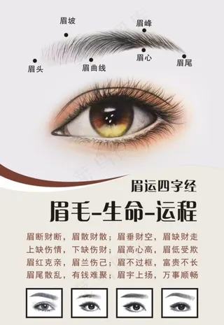 眉运四字经图片