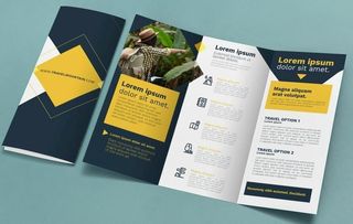 三折页样机图片