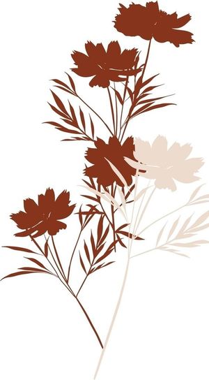 剪影 花卉 花朵图片