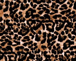 豹纹图片