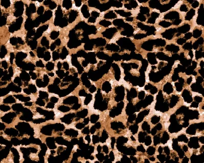 豹纹图片 豹纹图片