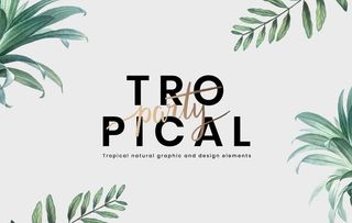 植物海报背景图片