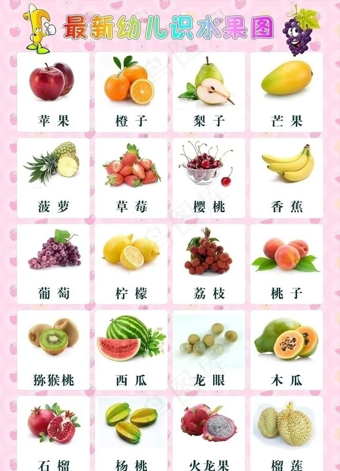 最新幼儿识水果图图片cdr矢量模版下载