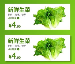 生菜 食品海报 蔬菜 蔬菜海报图片